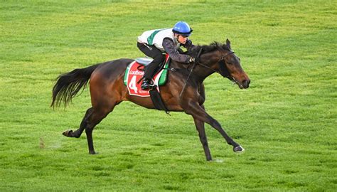 horse racing tips for today the mirror.